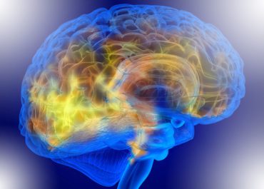CBD neuroprotettivo: il Segreto Naturale per Contrastare l’Invecchiamento Cerebrale