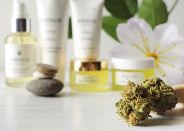 7 segreti del CBD